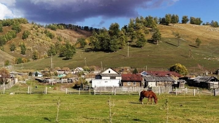 Kazakhstan To Modernize Over 3 000 Villages By 2024 AKIpress News Agency   629395.1574658803.b 